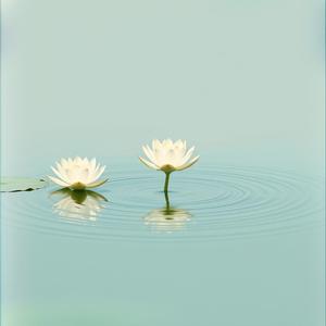 Tanzanite Platnumz - Snow Love (Intrument) by @tanzaniteplatnumz