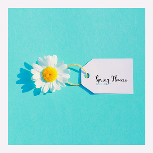 하늘을 날아가는 상상