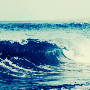 Magnificent Backdrops for Summertime