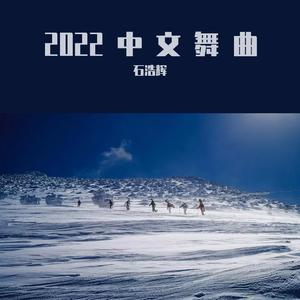 谁不是在流浪（石浩辉 remix）