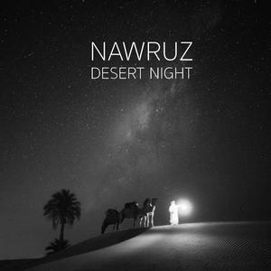 Desert Night
