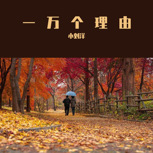 一万个理由