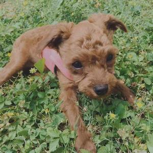 江布拉克vjclkbjlckv