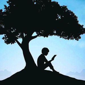 城市茧房：夜话