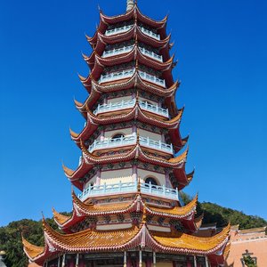 异地不移