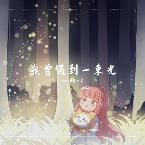 我曾遇到一束光