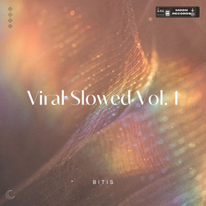 government hooker - Slowed