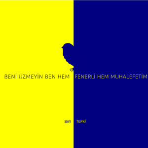 beni üzmeyin ben hem fenerli hem muhalefetim