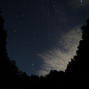 다정한 별빛 한 다발 품에 안고