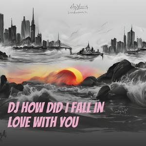 Dj How Did I Fall in Love with You