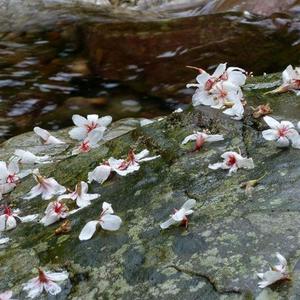 说走就走，看尽世间繁华