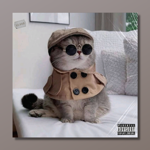 【FREE】吉他 POP Type Beat - "Mood"