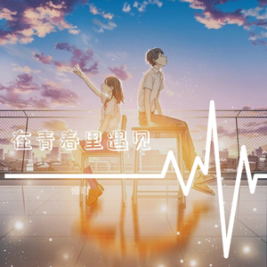 在青春里遇见