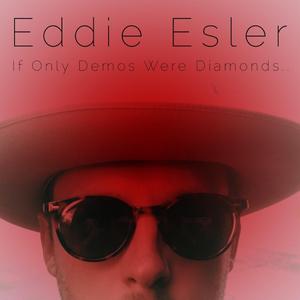 Cardinals In The Snow