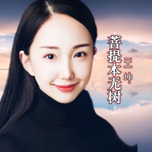 菩提本无数