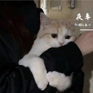 夜车【温柔男版】