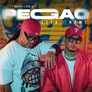 PEGAO