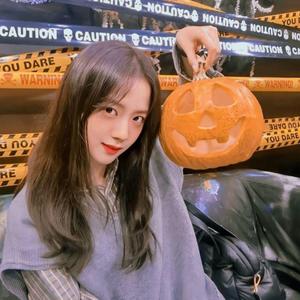 葬花吟（二胡曲）