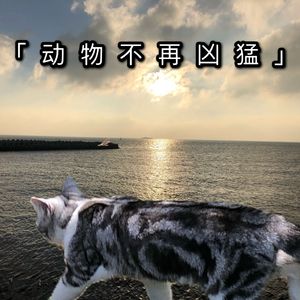 动物不再凶猛