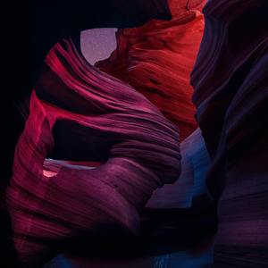 托尼老师直呼内行