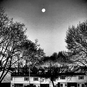 Colorblind Like Logan Paul!