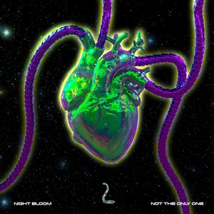 Not the Only One (Pholo Remix)