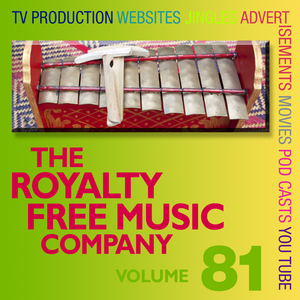 Steam Versus Plane Race 3