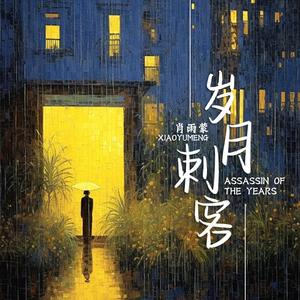 岁月刺客