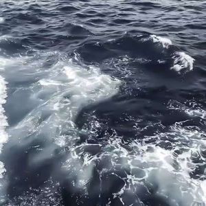 梦.阿兹海默（kpop）