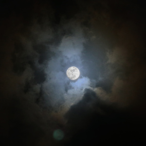 ♞СΗΕСΚМΑΤΕ♘