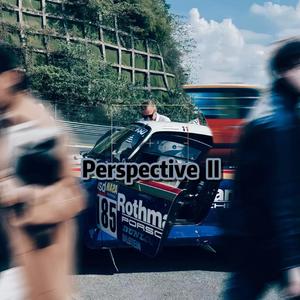 Perspective II