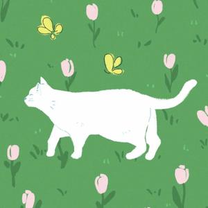 我不想被打扰（酷酷女孩）