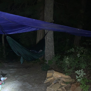 Hammocks