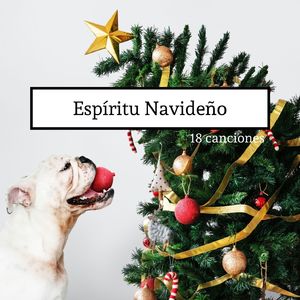 Felicitaciones de Navidad