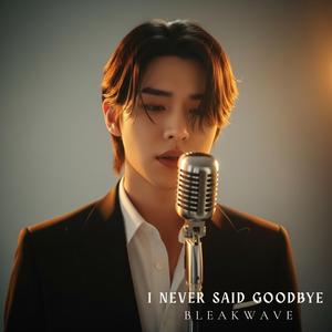 Broken Glass Memories