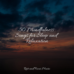 Conscious Meditation