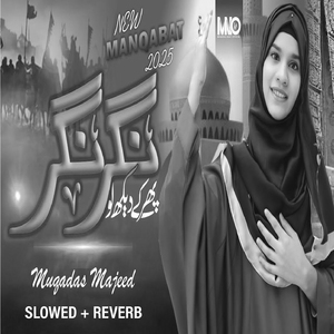 Phir Ke Dekh Lo Nagar Nagar (Lofi-Mix)