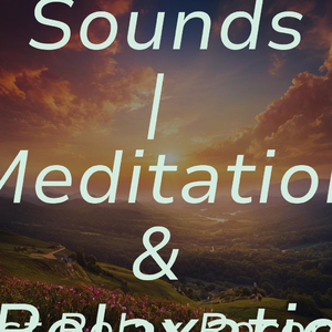 Midnight Masquerade's Solitude