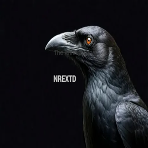 Чёрный ворон