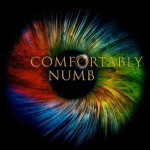 Comfortably Numb Pling Plong Remake