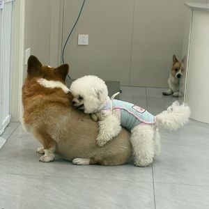 我们一起在公园里偷手机