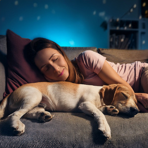 Una Tarde Tranquila Juntos