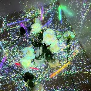 这些年在忙什么(抖音热播片段)