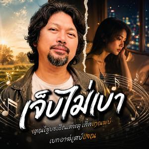 เจ็บไม่เบา, เจ็บตอนเงียบ, แค่ยังคิดถึง, คิดถึงเงียบ ๆ, จบแบบเงียบ ๆ