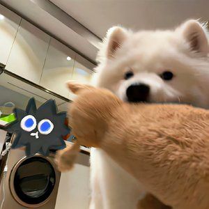 爱如阵风的错觉