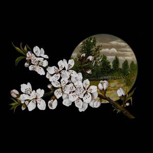 Nope your too late i already died (Piano Version)