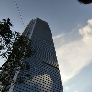 遗忘花园的黄昏挽歌