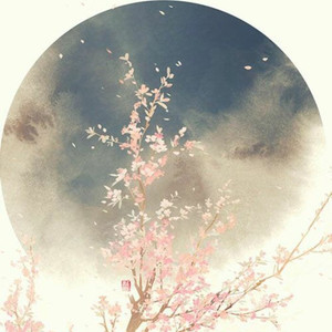 朝花只拾一半（Cover 杨千嬅）