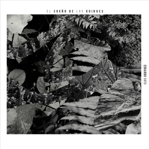 Constelacion (En Vivo)