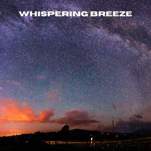 Serenade of Subtle Static (Loopable, No Fade)